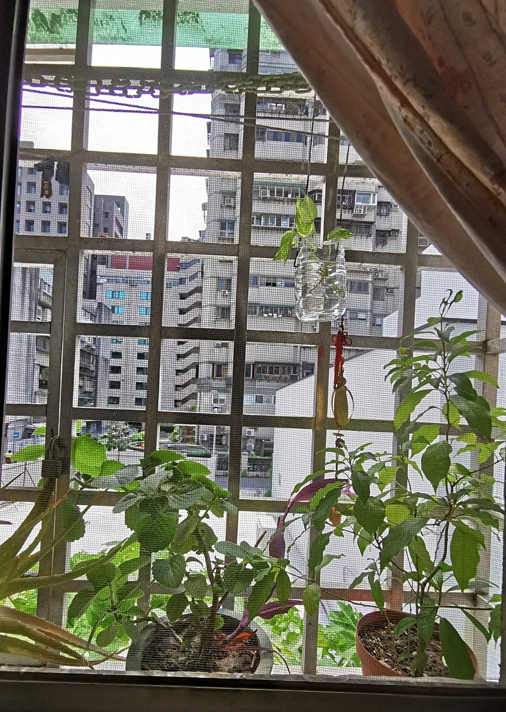 房源照片