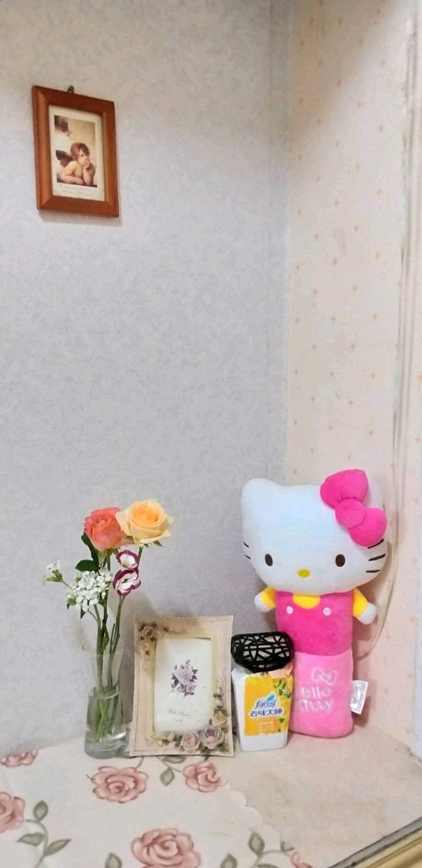 自租晴光商圈、中山國小雙捷運站４房全機能花想夢幻別館