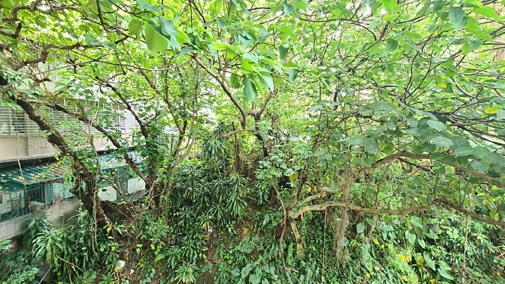 房源照片