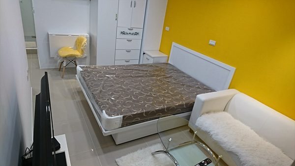 東區SOGO全新裝修獨廚大獨院/電費半價