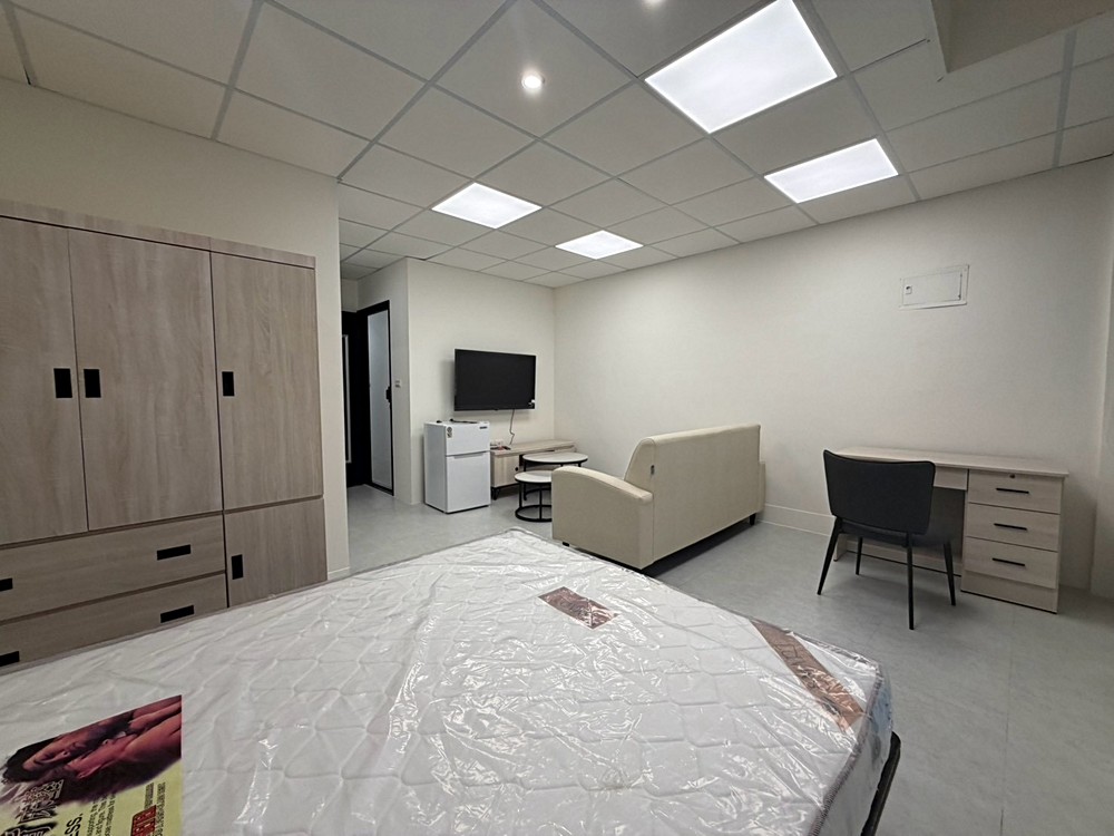近捷運板新【優質租案】可養貓★獨洗衣機★女性專屬（第4張）