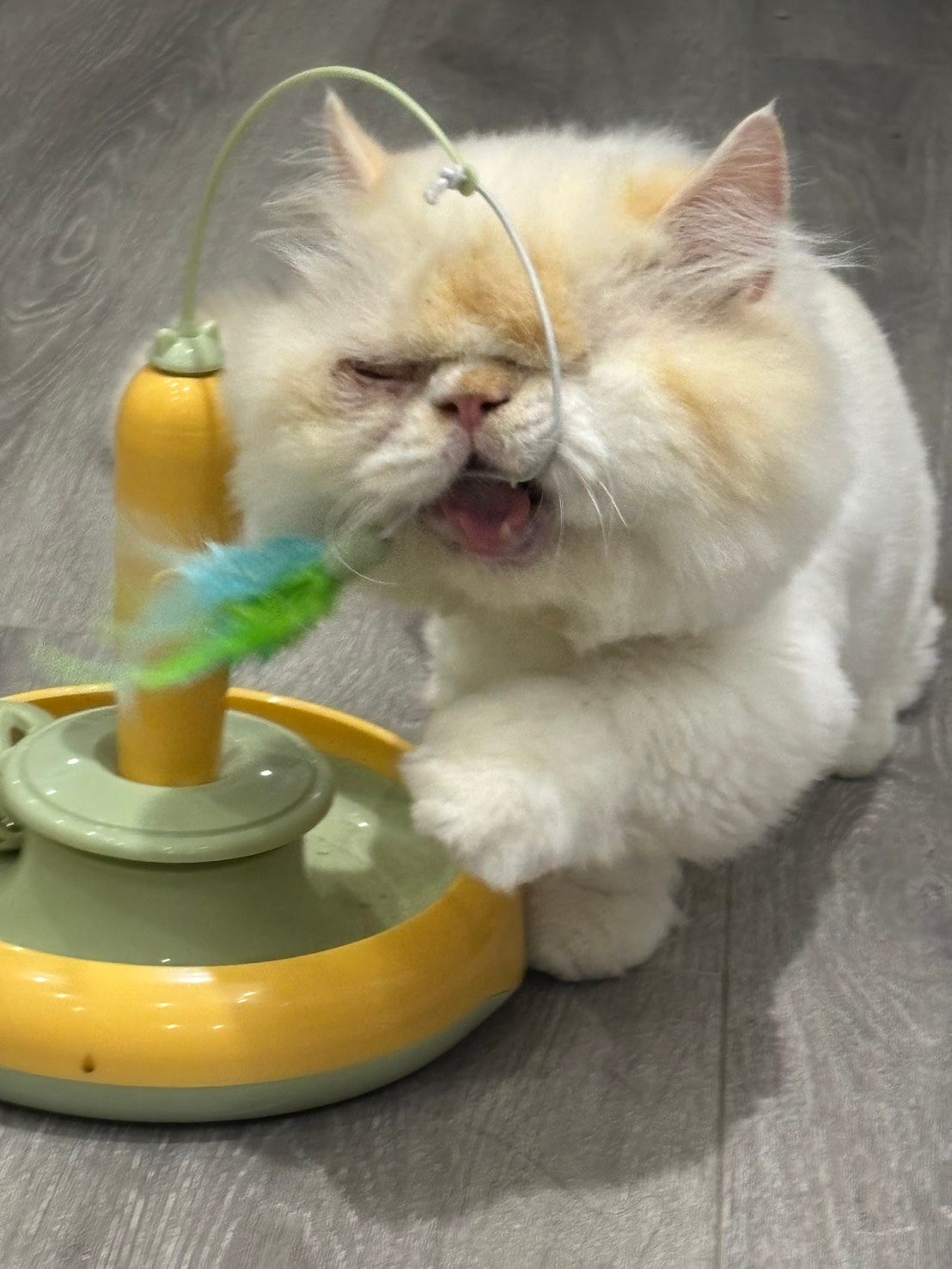 房源照片