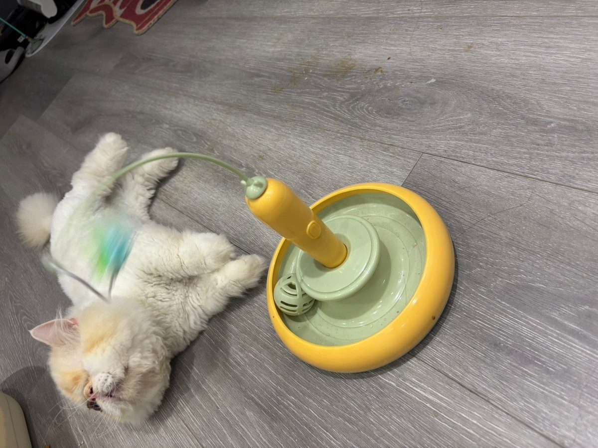 房源照片
