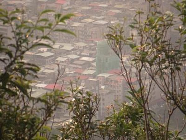 麗山國小內科旁頂加靠近內湖路一段411巷