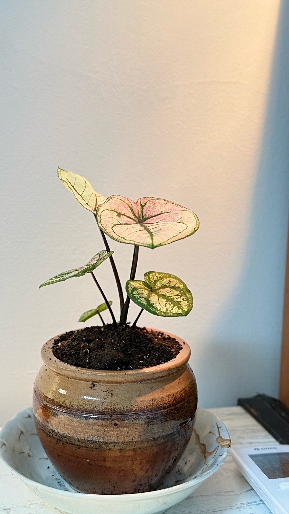 房源照片