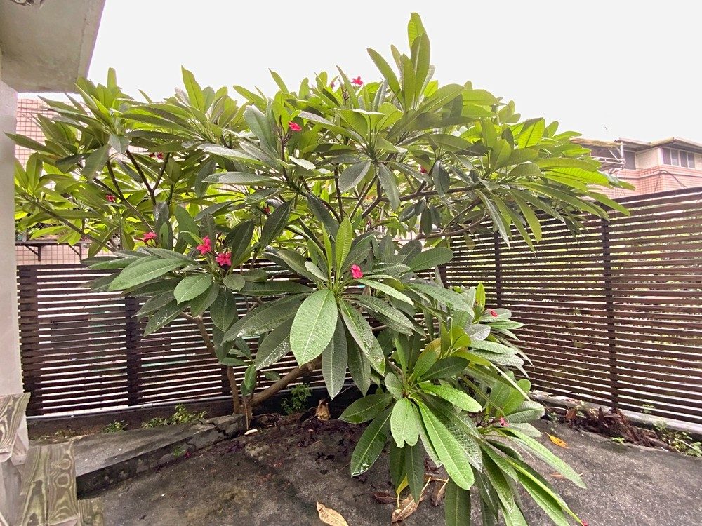 房源照片