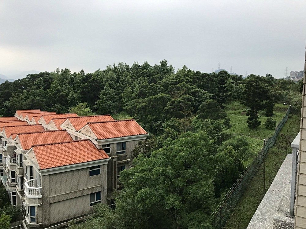 綠野香坡【電梯1房1廳】補助入籍★大空間★可養貓(第14張)