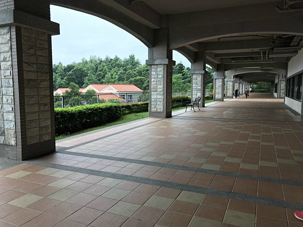 綠野香坡【電梯1房1廳】補助入籍★大空間★可養貓(第13張)