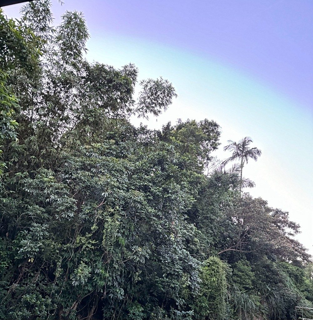 房源照片