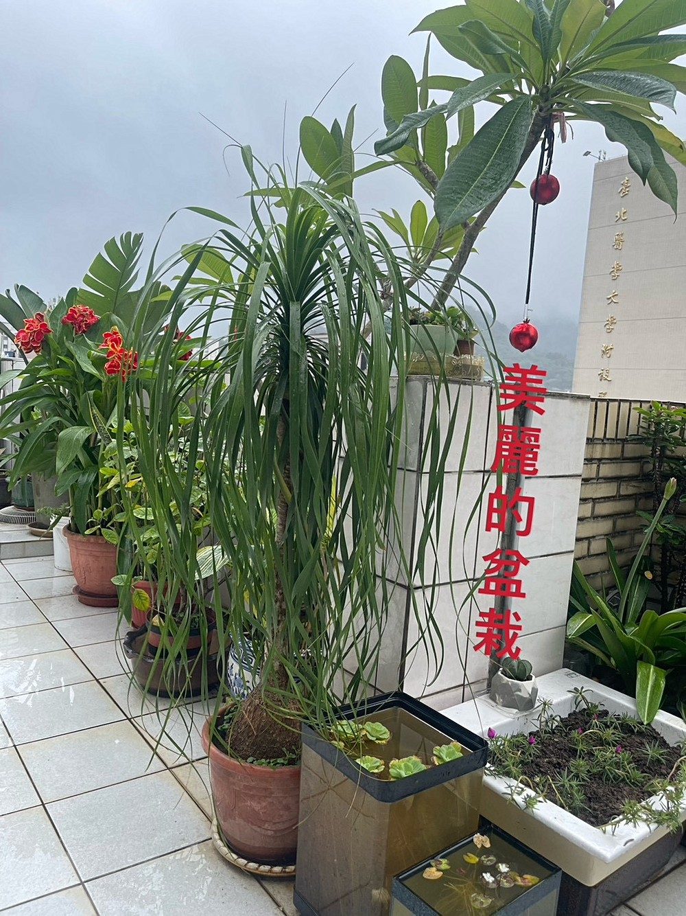 房源照片