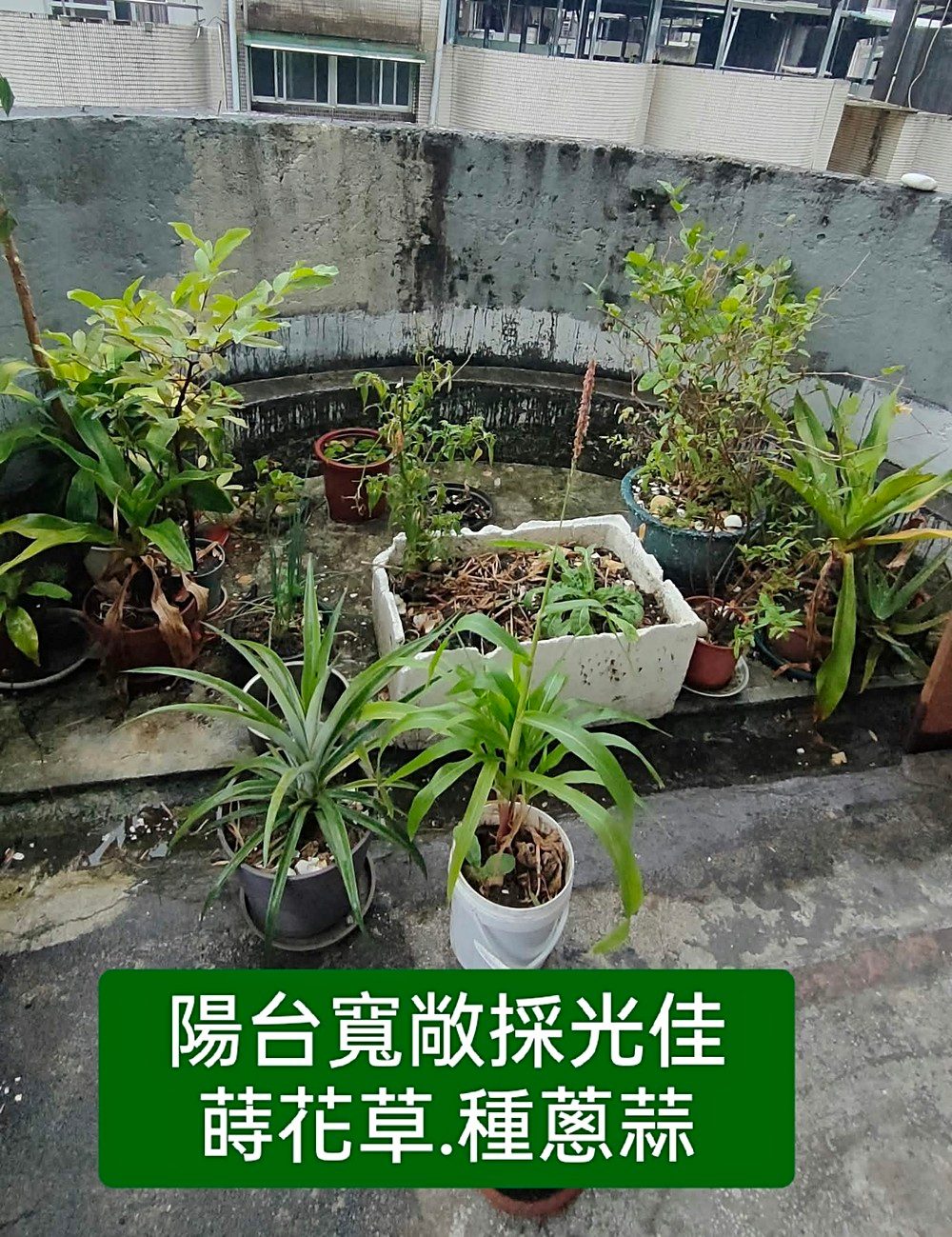 房源照片