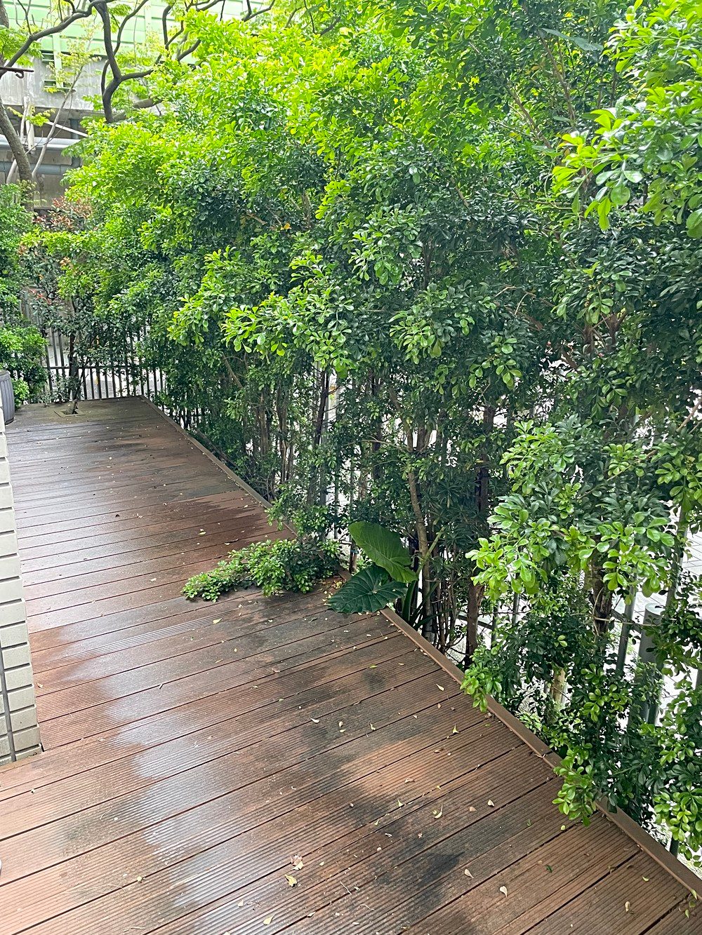 房源照片