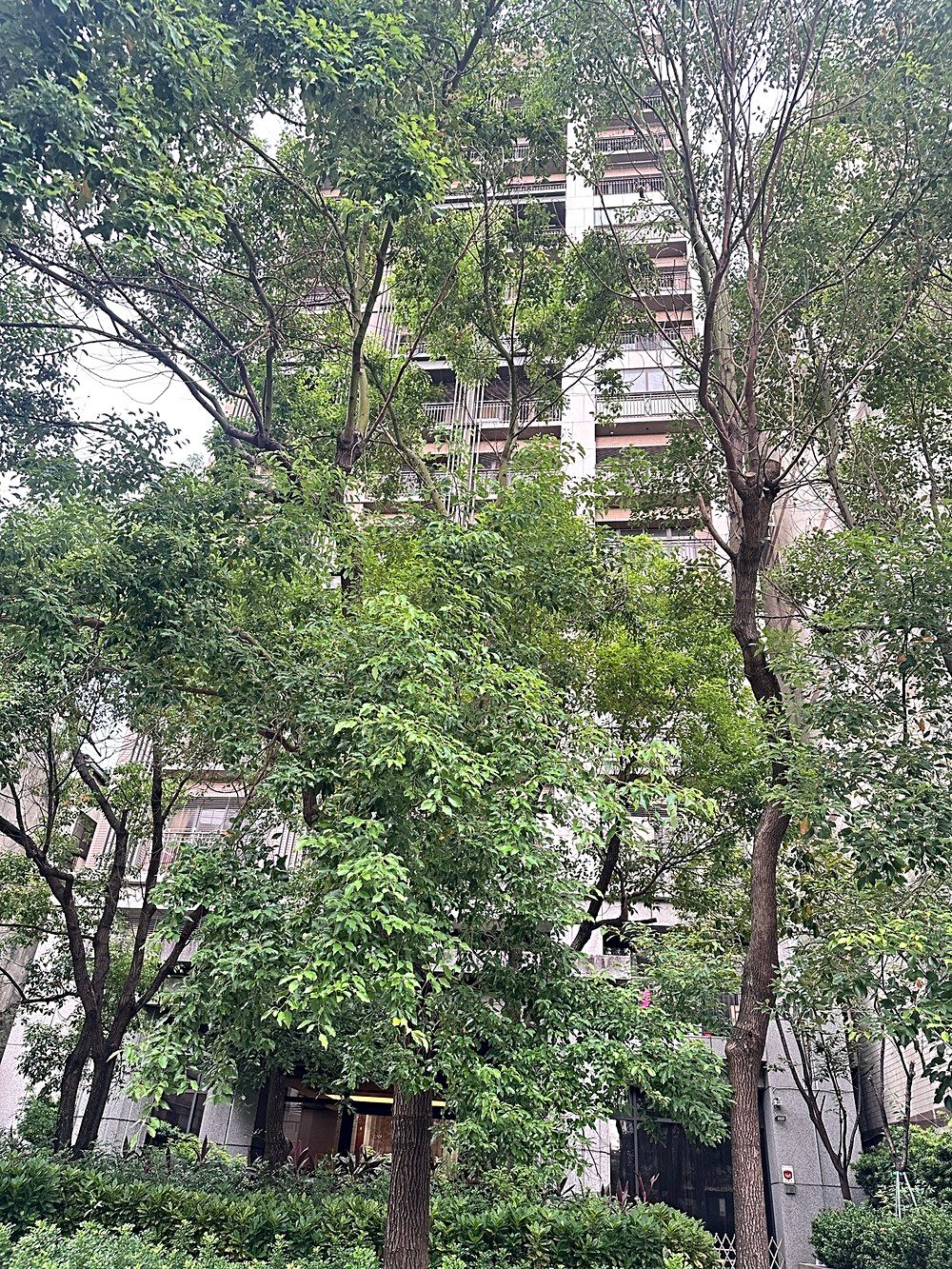 房源照片