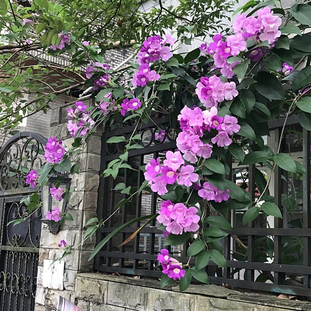 房源照片